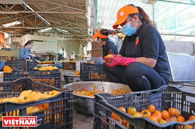 En primer lugar, se pelan las frutas (Fuente: VNA)