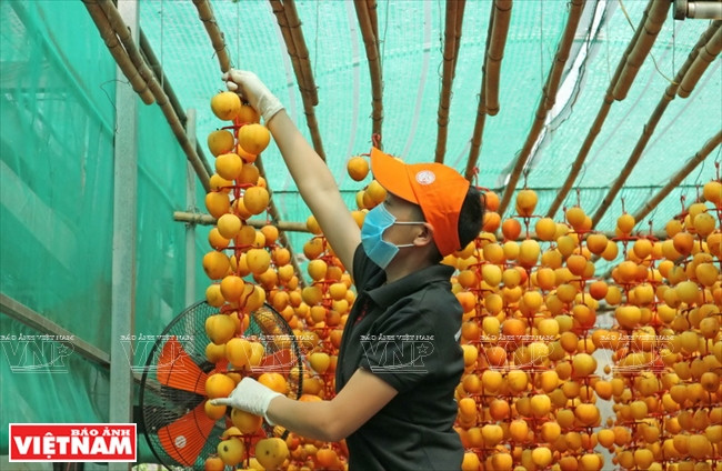 En el lugar de conversación se debe mantener las temperaturas de 25 a 30 grados Celsius (Fuente: VNA)