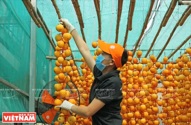 En el lugar de conversación se debe mantener las temperaturas de 25 a 30 grados Celsius (Fuente: VNA)