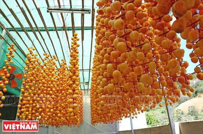 Ese proceso tarda tres semanas (Fuente: VNA)