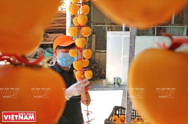 Ese proceso debe cumplir los estándares de inocuidad alimentaria (Fuente: VNA)