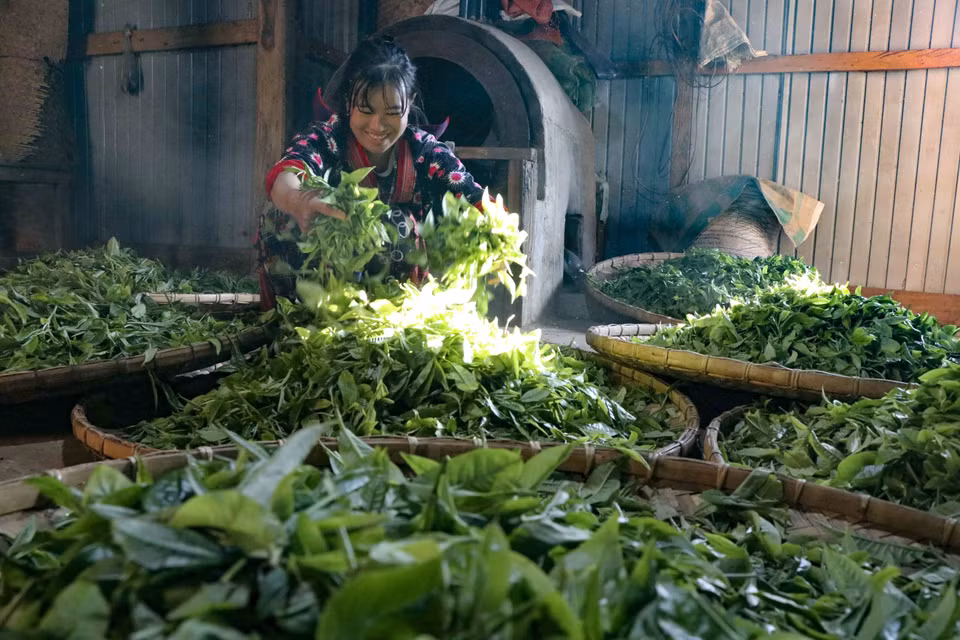 La gente de la aldea de Sin Chai utiliza el método de secado tradicional. (Fuente: VNA)