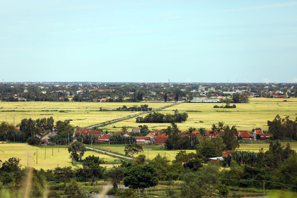 Las aldeas están situadas entre campos de arroz dorados en el distrito de Tay Hoa. (Foto: VNA)