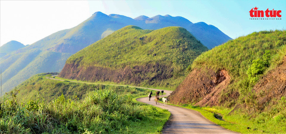 Las curvas del camino en Binh Lieu en otoño. (Foto: Periódico Tin tuc)