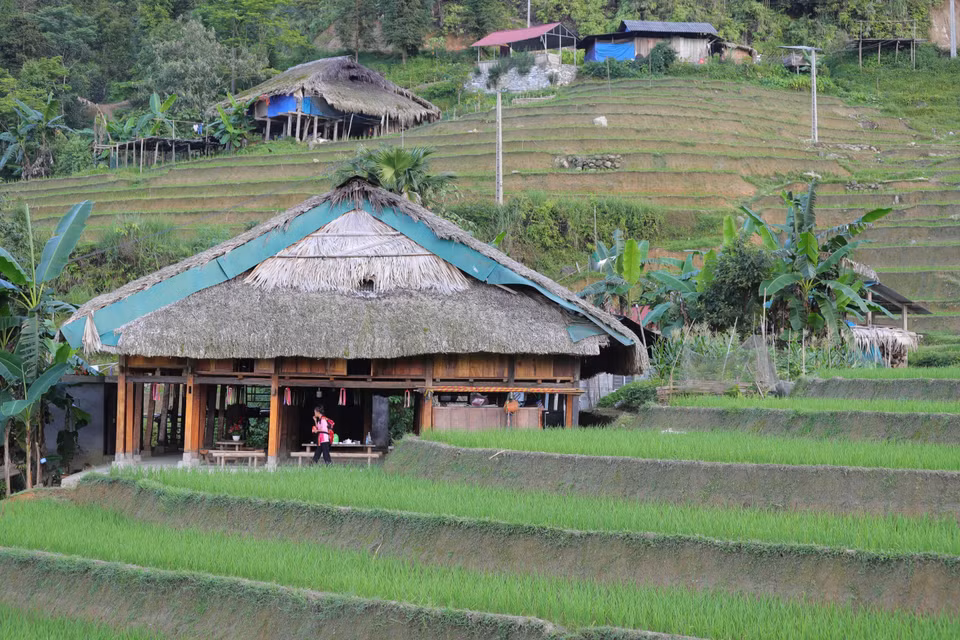 Un homestay que se encuentra en armonía con los verdes campos en la aldea de Xa Phin. (Fuente: VNA)
