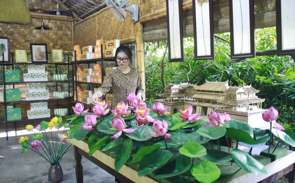 Los productos hechos de flor de loto se exhiben en la empresa de producción, exportación e importación y comercio de servicios de Hali (Ninh Binh). (Foto: VNA)