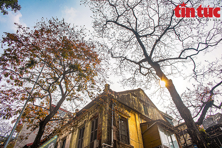 Una escena poética de Hanoi. (Fuente: VNA)