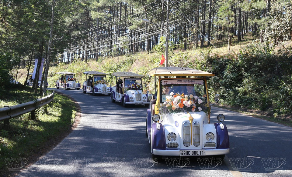Los coches eléctricos llevan a los visitantes por la calle bordeada de pinos verdes en Da Lat. (Foto: VNA)