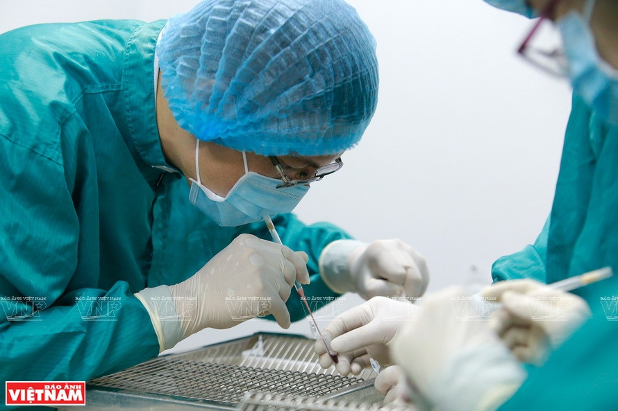 Fase del cultivo celular durante la producción de vacunas en VABIOTECH (Foto: VNA)