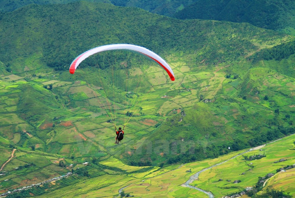 Románticas escenas de los arrozales doradas como olas que rozan los pies de verdes montañas (Fuente: VNA)