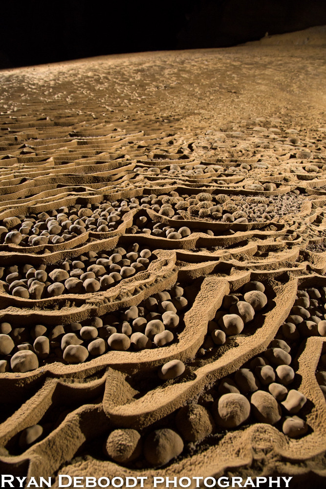 Rocas con figura como perlas en el suelo. (Foto de Ryan Deboodt)