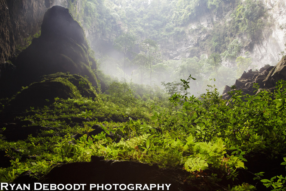 La flora en el Jardín de Edam (Foto de Ryan Deboodt)