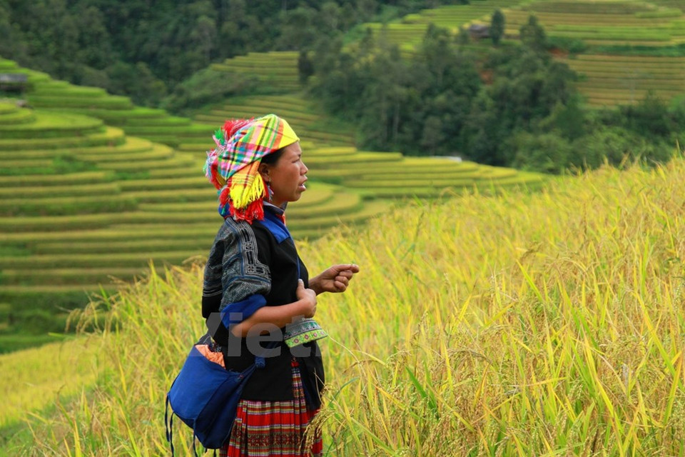 Una mujer de Mong espera cada parachute (Fuente: VNA)
