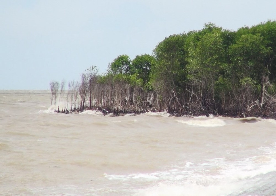 La erosión costera amenaza seguridad de diques marítimos en provincia survietnamita de Tien Giang (Fuente:VNA)