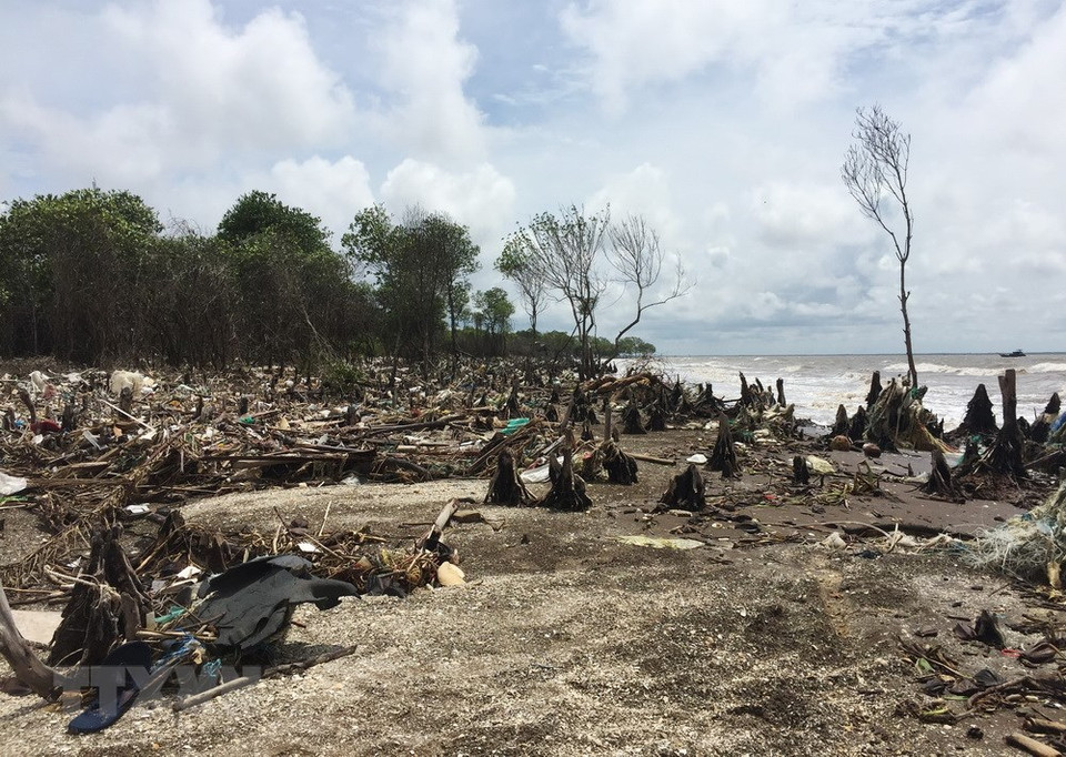 La erosión costera amenaza seguridad de diques marítimos en provincia survietnamita de Tien Giang (Fuente:VNA)