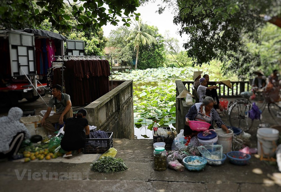 Un rincón del mercado en el pueblo de Cuu antes de que estallara la pandemia del COVID-19. Hoy día, las antiguas villas y calles pavimentadas con bloques de piedra verde en la localidad aún permanecen. Aunque estas villas están cubiertas de musgo, aún conservan su belleza. Al visitar este pueblo, la gente puede imaginar el período floreciente del sitio, como se muestra en las delicadas características de las antiguas villas. Actualmente, Cuu todavía tiene 37 villas antiguas. El pueblo sigue siendo tranquilo y silencioso en un momento en que se pueden encontrar cibercafés y salones de karaoke en la mayoría de los pueblos del país. Los ancianos de la aldea se dedican principalmente a la agricultura. (Foto: VietnamPlus).