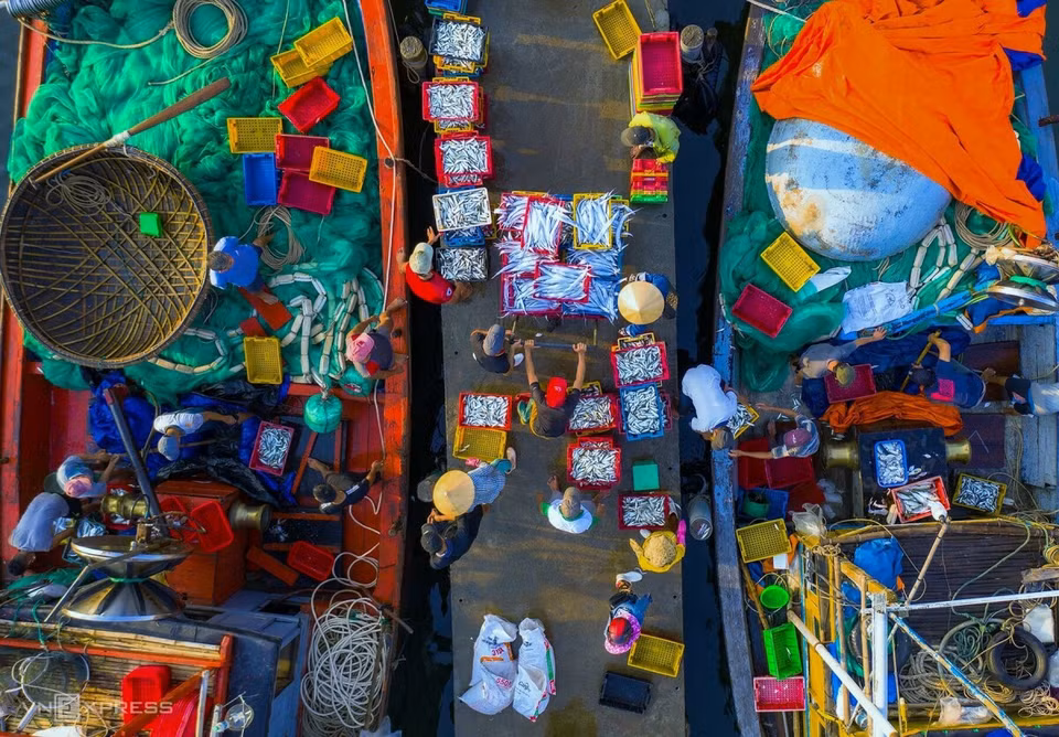 Animada escena de transporte de mariscos después que el barco atracó, a las 6 de la mañana en el mercado de pescado de Duy Hai, en el distrito Duy Xuyen, de la provincia de Quang Nam./.