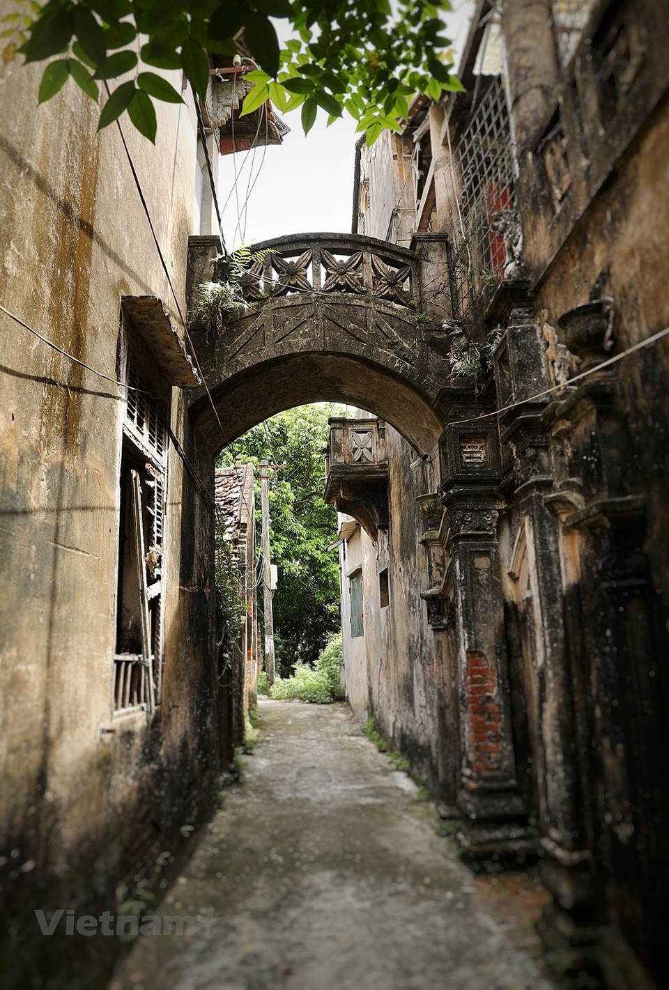 El pacífico y antiguo pueblo de Cuu, ubicado a orillas del río Nhue, ha sido testigo de numerosos cambios en la geografía y el tiempo. La historia cuenta que Cuu solía ser solo un montón de diques a orillas del río Nhue. Pero luego llegaron personas desplazadas de otros lugares y gradualmente se fueron asentando. Ese tiempo se remonta al menos a hace 500 años, según la vieja guardia de la aldea. Como la arquitectura francesa era popular en las grandes ciudades como Hanoi y Hai Phong, los aldeanos incorporaron este estilo en sus propias viviendas. Muchas de sus casas tenían el aspecto de villas francesas. (Foto: VietnamPlus)