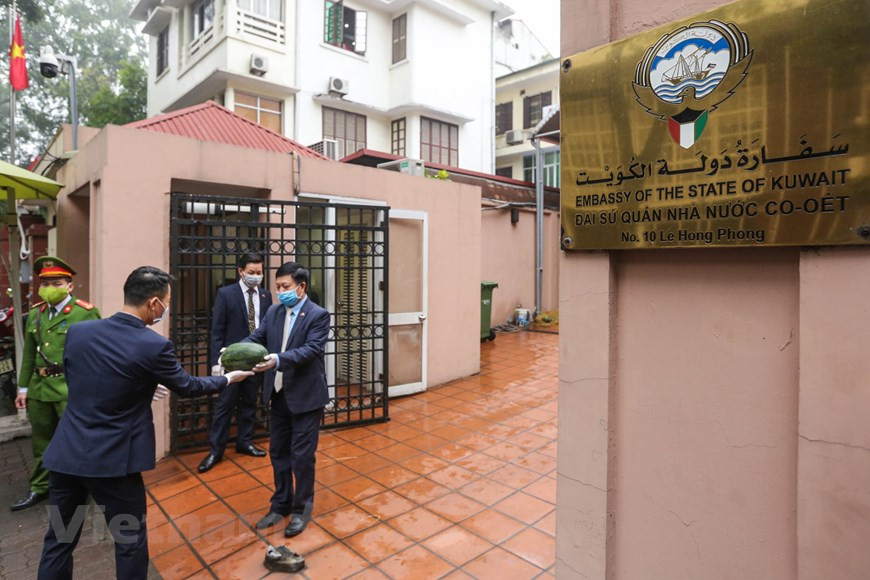 La Embajada de Kuwait en Hanoi empezó a repartir sandías desde las 9:00 (hora local) en su sede en la dirección 10 Le Hong Phong, Hanoi y en el contexto marcado por la evolución del COVID-19, se reparten también mascarillas a las personas que realizan la cola para recibir sandías, en pos de evitar la transmisión del virus SARS-CoV-2. El buen gesto de la misión diplomática de Kuwait en Vietnam fue aplaudido y se consideró uno de los ejemplos en el respaldo a los cultivadores de sandías del país sudesteasiático por parte de las representaciones de naciones extranjeras en Vietnam en la situación actual (Fuente: V+) 