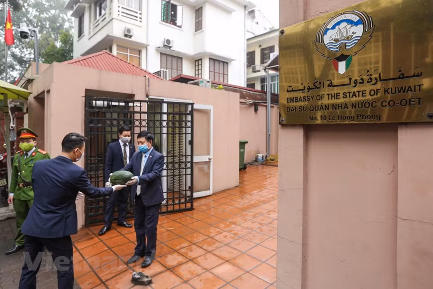 La Embajada de Kuwait en Hanoi empezó a repartir sandías desde las 9:00 (hora local) en su sede en la dirección 10 Le Hong Phong, Hanoi y en el contexto marcado por la evolución del COVID-19, se reparten también mascarillas a las personas que realizan la cola para recibir sandías, en pos de evitar la transmisión del virus SARS-CoV-2. El buen gesto de la misión diplomática de Kuwait en Vietnam fue aplaudido y se consideró uno de los ejemplos en el respaldo a los cultivadores de sandías del país sudesteasiático por parte de las representaciones de naciones extranjeras en Vietnam en la situación actual (Fuente: V+) 