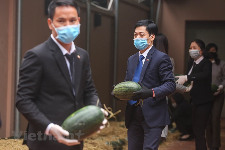 La Embajada de Kuwait adquirió dos toneladas de sandía de los cultivadores de la provincia de Bac Giang para la actividad. Además de la Embajada. Actualmente, la parte china ha anunciado el cierre de las transacciones comerciales en las puertas fronterizas desde el 31 de enero hasta finales del 8 de febrero, con el motivo de garantizar la prevención de la epidemia del coronavirus. Cientos de contenedores de fruta, la mayoría de ellos fruta del dragón y sandías, tienen que quedarse en el patio de recolección justo en la frontera. En la complicada situación actual del virus Corona, siete programa continúa implementándose, seguramente recibirá un apoyo entusiasta de la comunidad (Fuente: V+)