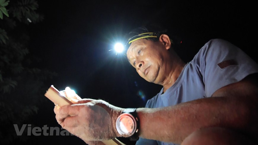 Un proyecto para trasladar y rescatar nidos y pequeñas tortugas marinas destaca entre las iniciativas del Parque Nacional Con Dao para intentar restaurar esas especies bajo la amenaza del calentamiento global y el aumento del nivel del mar. Entre julio y septiembre, los visitantes pueden apreciar el desove de las tortugas en las playas del archipiélago. Los islotes del Parque Nacional Con Dao cuentan con estaciones de conservación de tortugas marinas: Tre Lon, Tai, Bay Canh, Cau, con un total de 16 playas de anidación. Durante la época de cría, en una de estas playas, es posible observar tortugas desovar por la noche y los guardabosques proteger las zonas de anidación, trasladar los huevos a los criaderos, liberar las crías o colocar etiquetas a las hembras. (Foto: Vietnamplus)