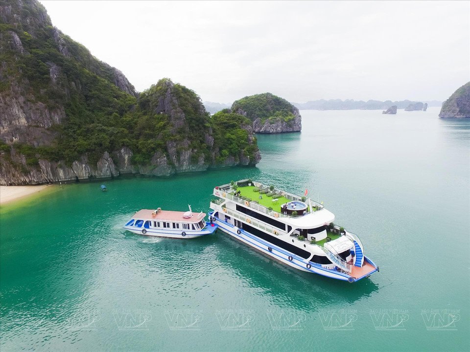 Los cruceros anclan en la bahía para que los turistas experimenten actividades como natación y exploración de pequeñas islas (Foto: VNA)