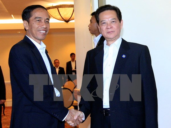 Tan Dung y el presidente indonesio, Joko Widodo (Fuente: VNA)