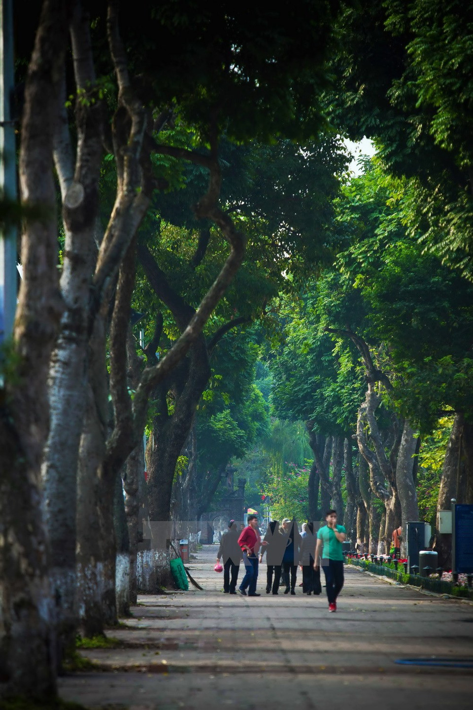 Al lago del Lago Hoan Kiem (Fuente: VNA)