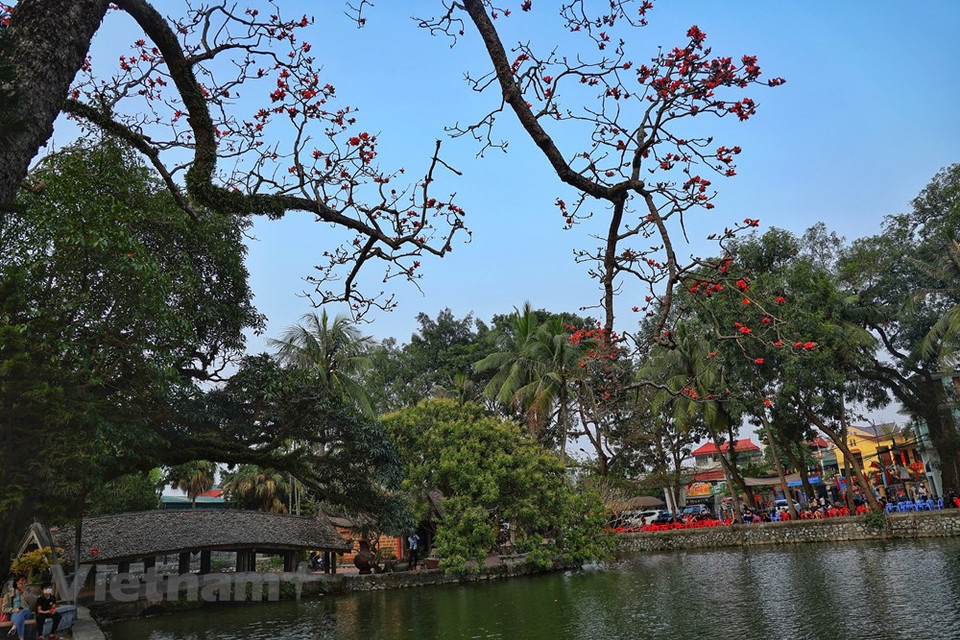 Según la leyenda, la pagoda Thay en la comuna de Sai Son del distrito capitalino de Quoc Oai fue construida en el siglo XI de la dinastía Lý y sobre una tierra con forma de dragón, mirando hacia el sur. La pagoda está frente a la montaña Long Dau, mientras que su parte posterior y lado derecho se inclinan sobre la montaña Sai Son. Se trata de una de las pagodas budistas más antiguas de Vietnam y un centro de peregrinaje durante el Tet (Año Nuevo Lunar). Como las pagodas de Tay Phuong y Huong (Perfume), este lugar siempre atrae gran cantidad de visitantes durante los días festivos. En la pagoda Thay, se han conservado numerosas estatuas budistas antiguos, incluidas el Buda Amitabha, Avalokitesvara Bodhisattva de la compasión y la misericordia, y la Mahasthamaprapta Bodhisattva que representa el poder de la sabiduría. (Foto: Vietnam+)