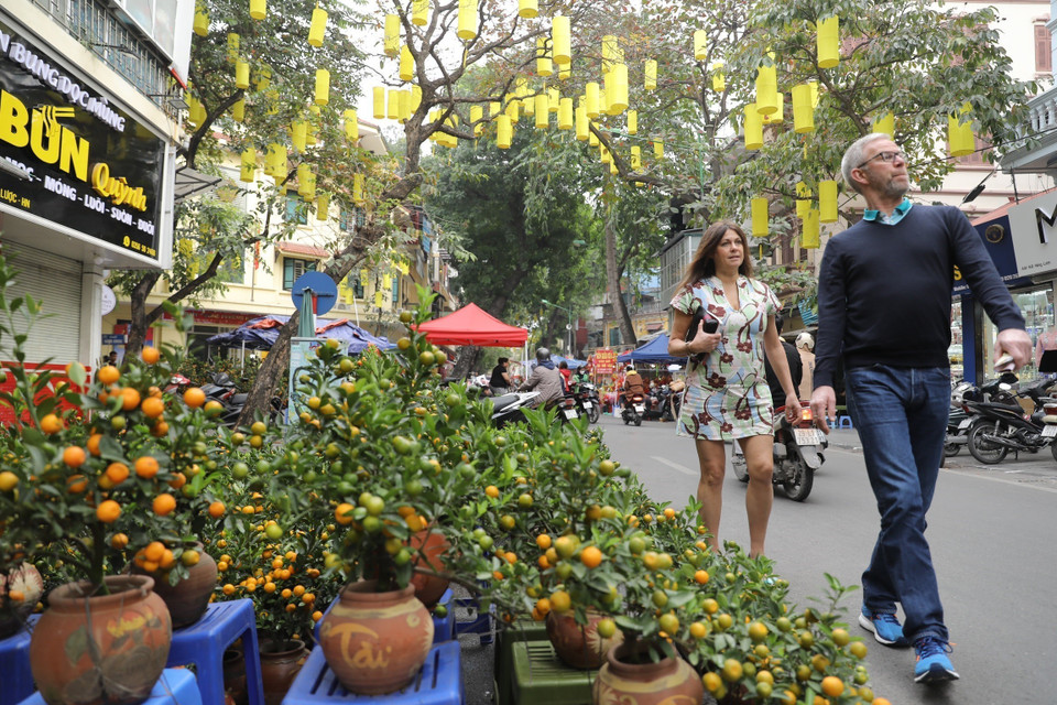 Los bonsái en la calle Hang Luoc (Fuente: VNA) 