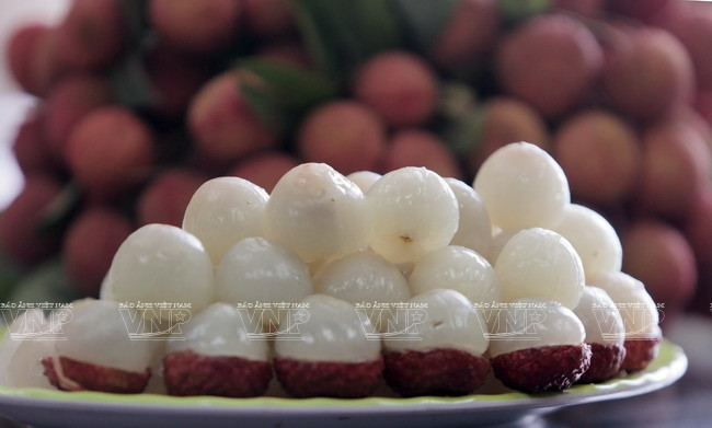 El lichis de Luc Ngan tienen la piel de color rojo brillante y la pulpa espesa y dulce (Fuente: VNA)