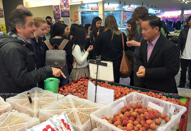 Lichi vietnamita en venta en los grandes supermercados de Melbourne, Australia (Fuente: VNA)