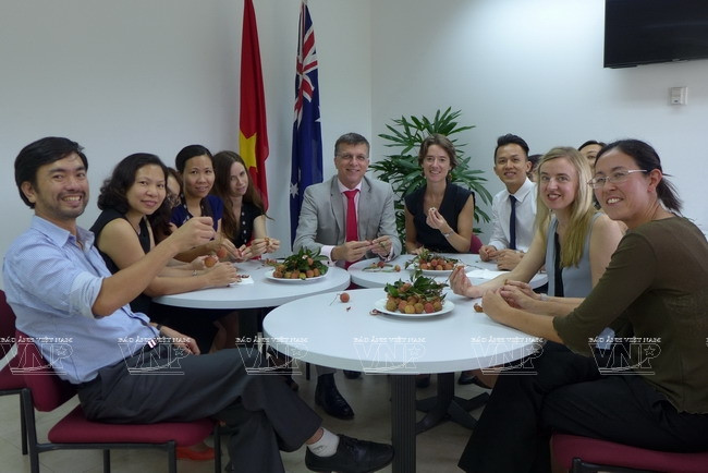 El embajador australiano, Hugh Borrowman (en el medio), y el personal de la embajada de Australia en Vietnam, degustando lichis tempranos de la temporada de 2015 (Fuente: VNA)