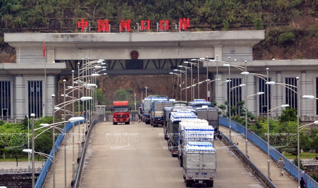 Convoy de camiones que transportan lichi vietnamita para exportarse a China en la puerta fronteriza de Lao Cai (Fuente: VNA)