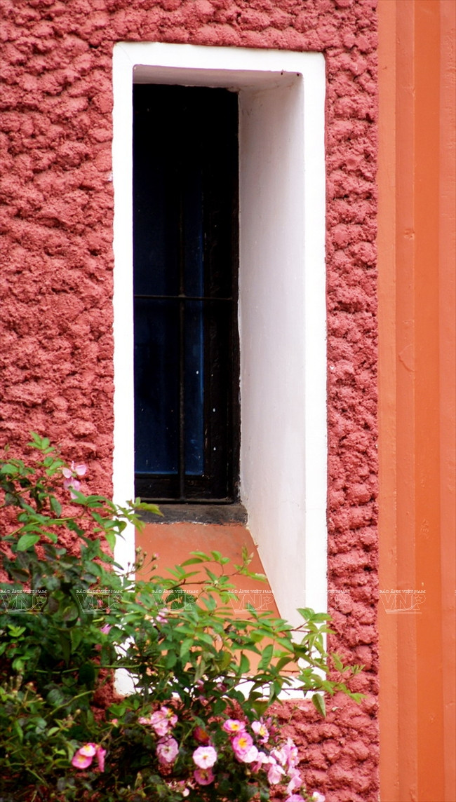 Rosas cultivadas al lado de las puertas (Fuente: VNA)