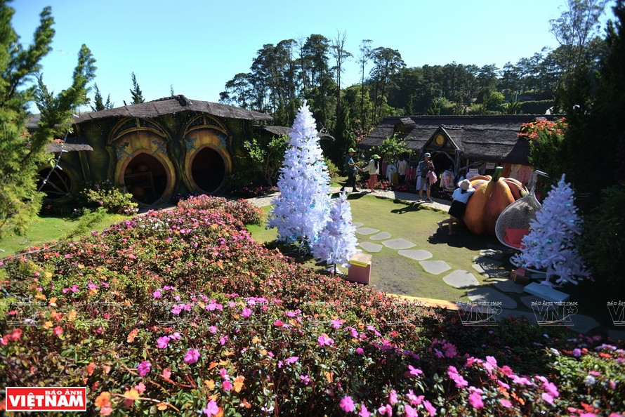 Da Lat posee muchas aldeas y granjas florales siempre abiertas para los turistas (Foto: VNA)