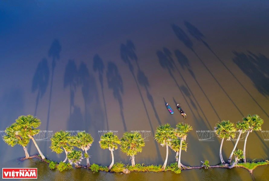 Nang Chieu (Sol de la tarde) (Foto: VNA)