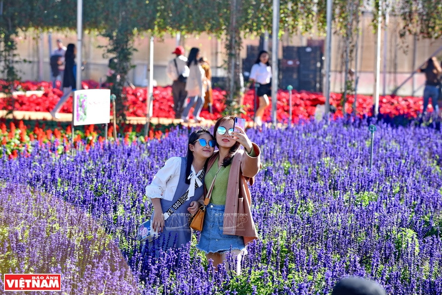 Visita a la aldea de Van Thanh, en Da Lat (Foto: VNA)