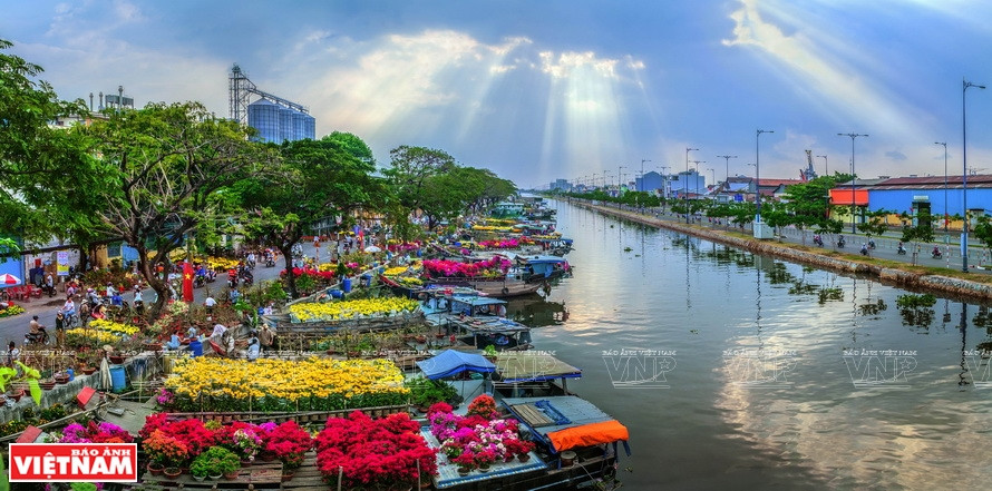 Nang Am Mua Xuan (Rayitos tibios del sol de la primavera) (Foto: VNA)