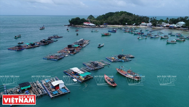 Las jaulas flotantes de acuicultura en la costa de Nam Du. Foto: Nguyen Luan/VNA
