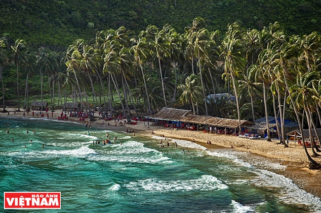 Los cocoteros en las islas en Nam Du y su paisaje atractivo y romántico. Foto: Luu Trong Dat./VNA