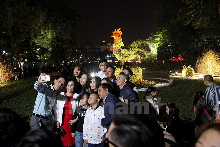 Mucha gente fue atraída por esa planta con figura del gallo, animal que representa este año según el horóscopo oriental (Fuente: VNA)
