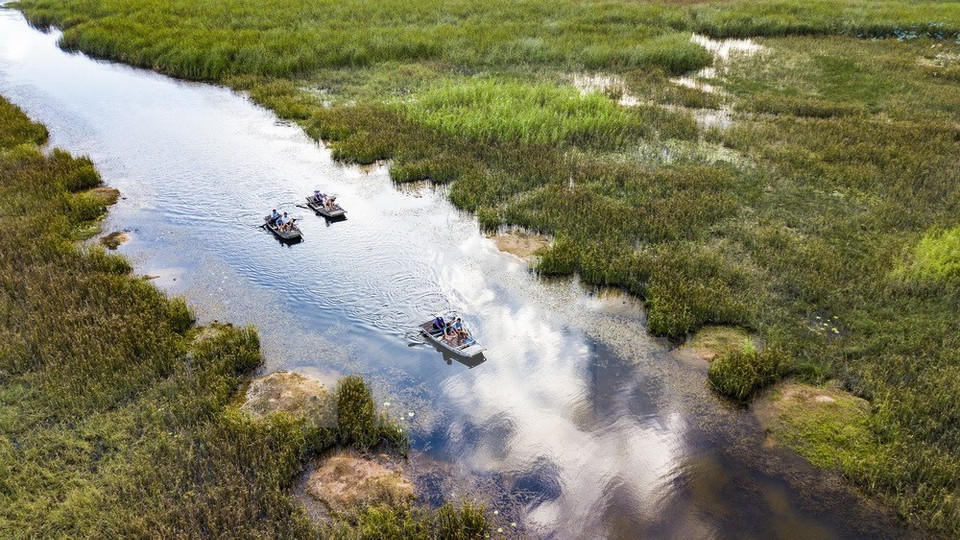 Turistas reman en la reserva natural Van Long (Foto: VNA)