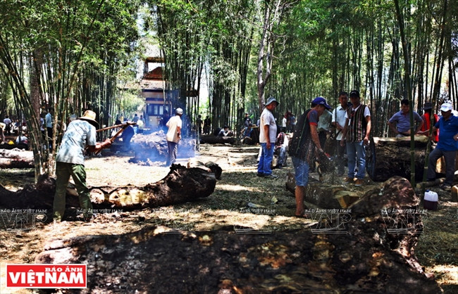 Troncos de varios tamaños de los cuales las estatuas serán talladas. Foto: Cong Dat