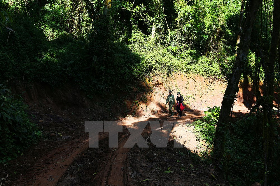 La ruta es rodeada por bosques (Fuente: VNA)