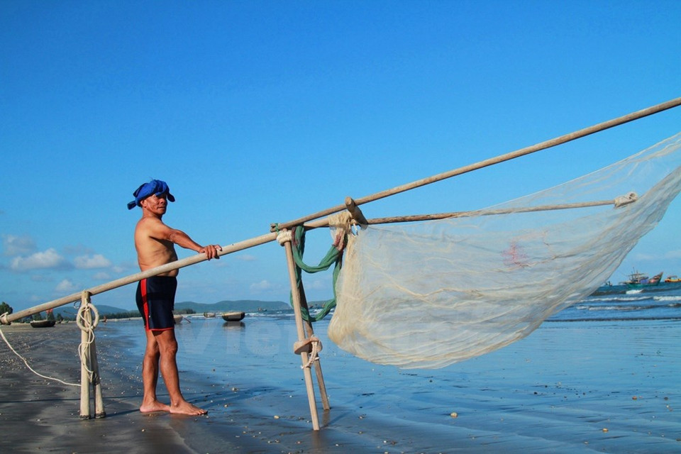 Nguyen Nuong, 65, quien se ha aferrado al mar desde los 20, dijo que la cantidad depende de las olas afectadas por la luna. 
