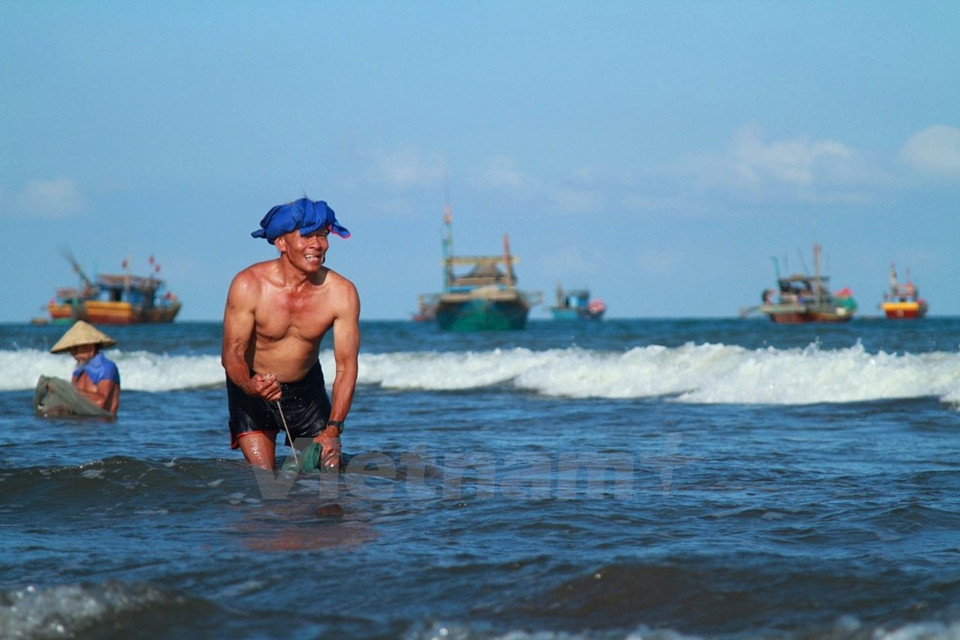 Según Nuong, los crustáceos mueven en densos flujos que hacen rojiza la superficie de agua. Sabiendo este hábito, los pescadores arrastran la red en contra la corriente para capturarlos. 