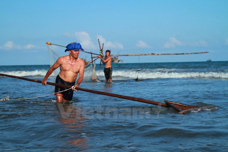 Cada vez Nuong puede cosechar decenas de kilos.