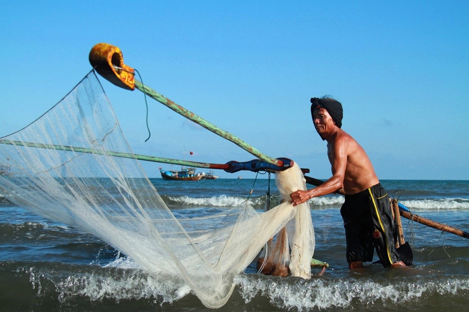 Para preparar este plato, se limpian los camarones frescos y se los secan.